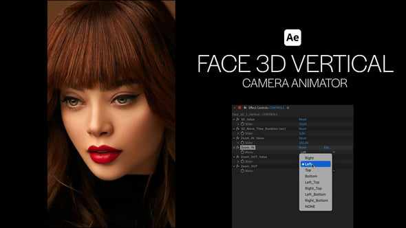 Face 3D Vertical Camera Animator для After Effects
