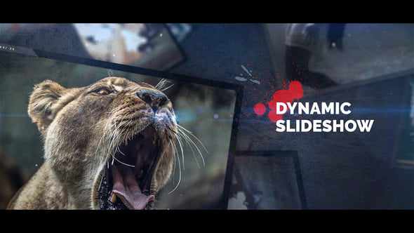 IT Slideshow для After Effects