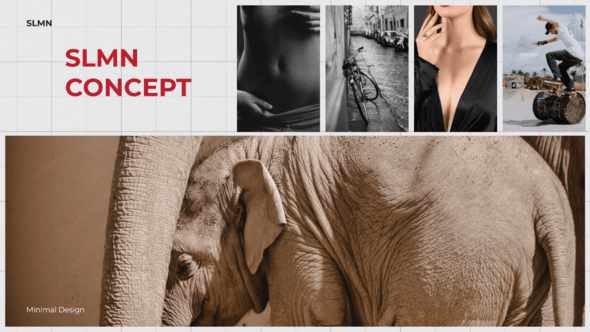 SLMN Portofolio Photography Template для After Effects