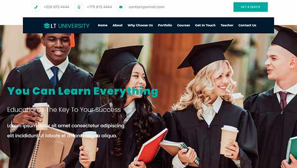 LTheme University - шаблон для образовательного портала на WordPress