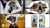 Paper Unfold Transition для After Effects