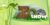 Zoo Show — Tv Pack для After Effects