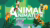 Animal Animation — шаблон для After Effects